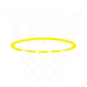 The Net Values logo